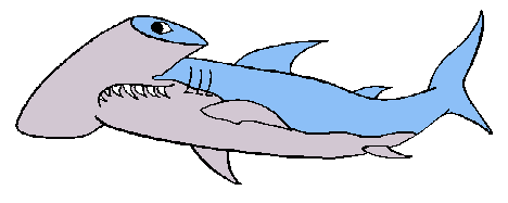 hammerhead.gif